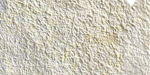 FuseChoice Plus AM FuseChoice Plus AM