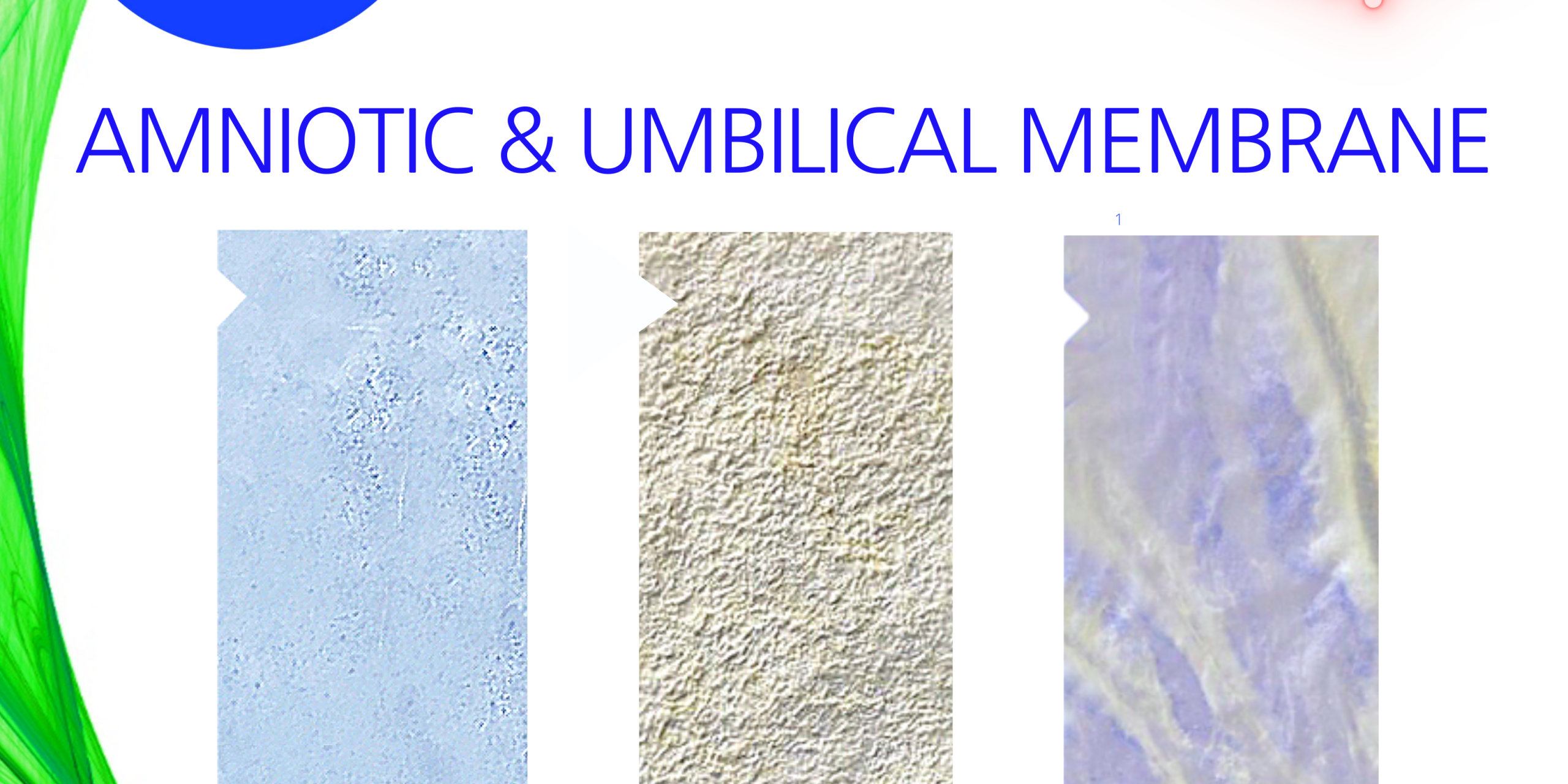 FuseChoice Amniotic Ad 12-10-20